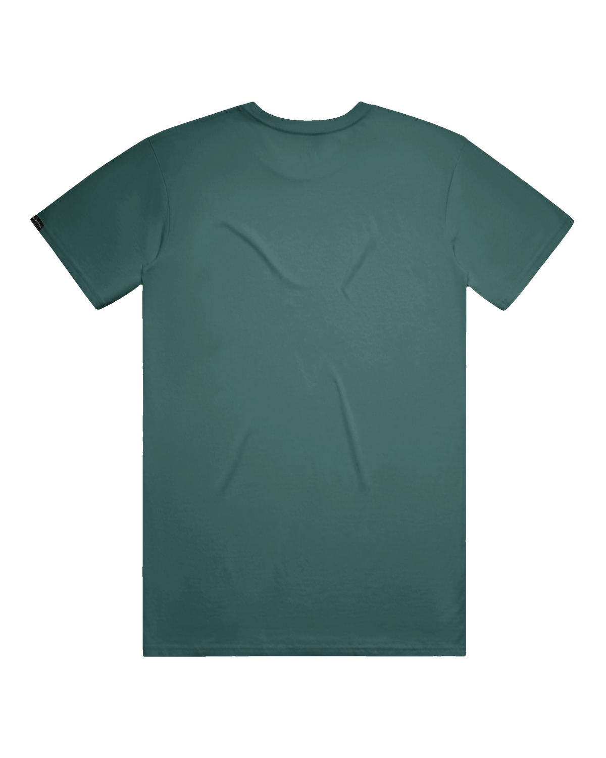 Starry Bear Tee (transparent)