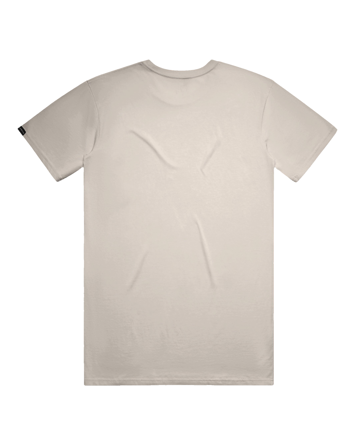 Starry Bear Tee (transparent)