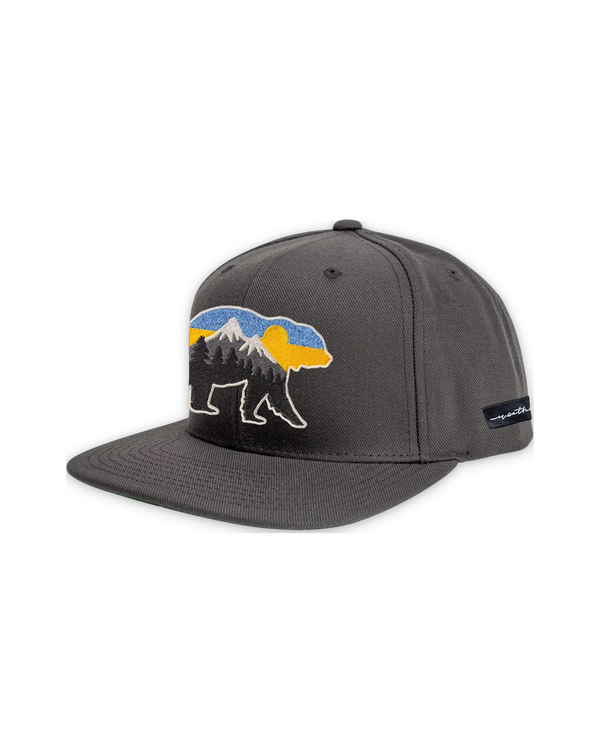 at-the-mountains-flat-bill-grey — float
