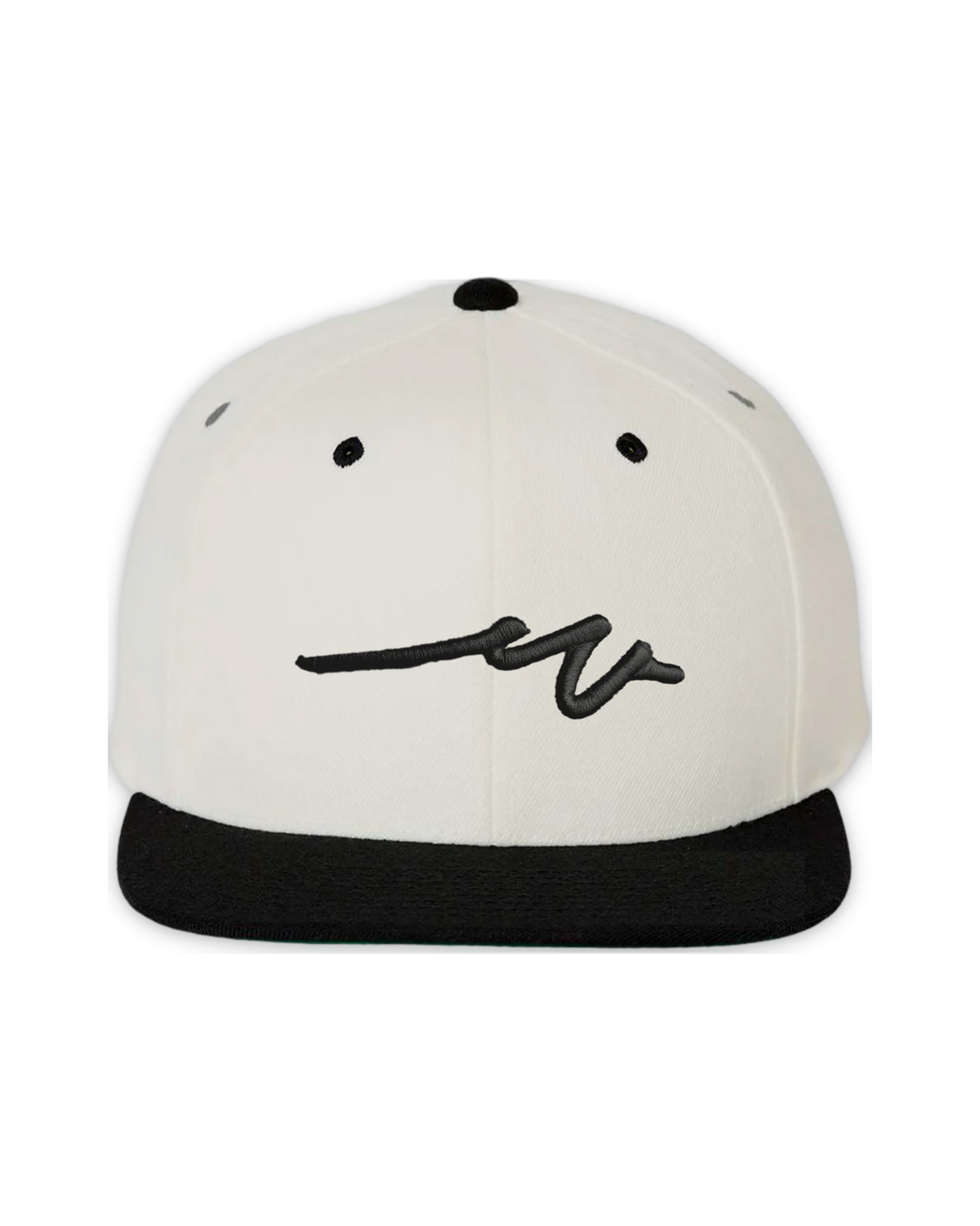 sketchy-w-black-3d-flat-bill — float