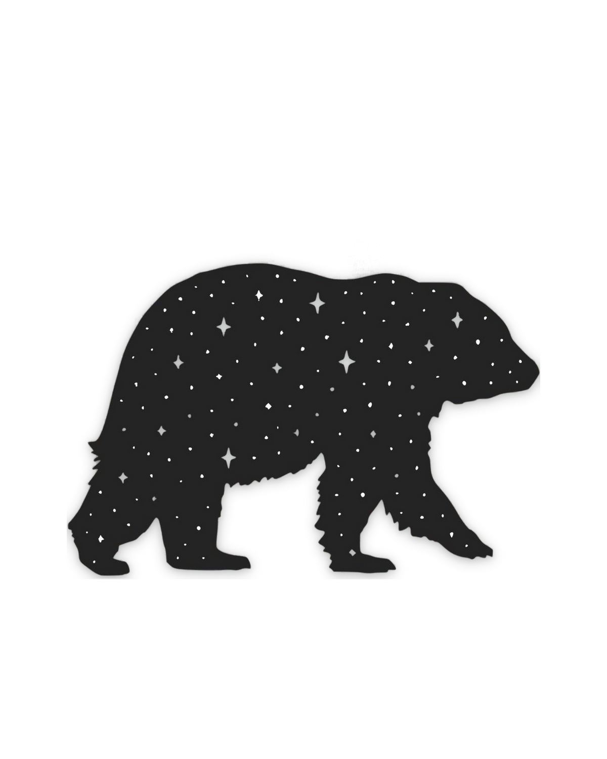 starry-bear-tee — float
