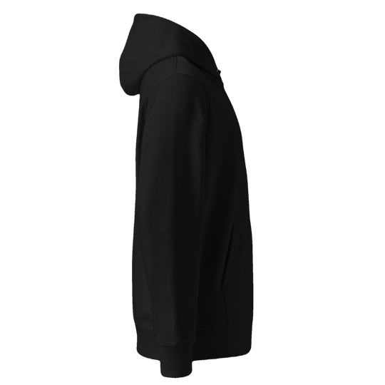 Silky Vertical Hoodie (transparent)