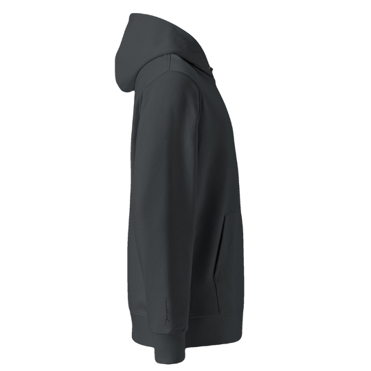 Silky Vertical Hoodie (transparent)