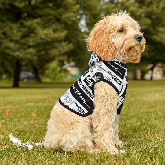 Weathered Sailor Pet Hoodie