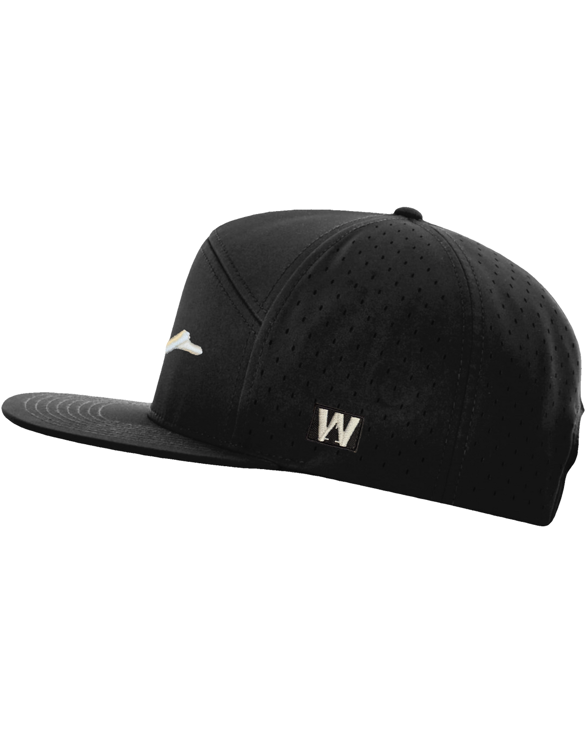 Sketchy Dub 7-Panel Wick Hat (transparent)