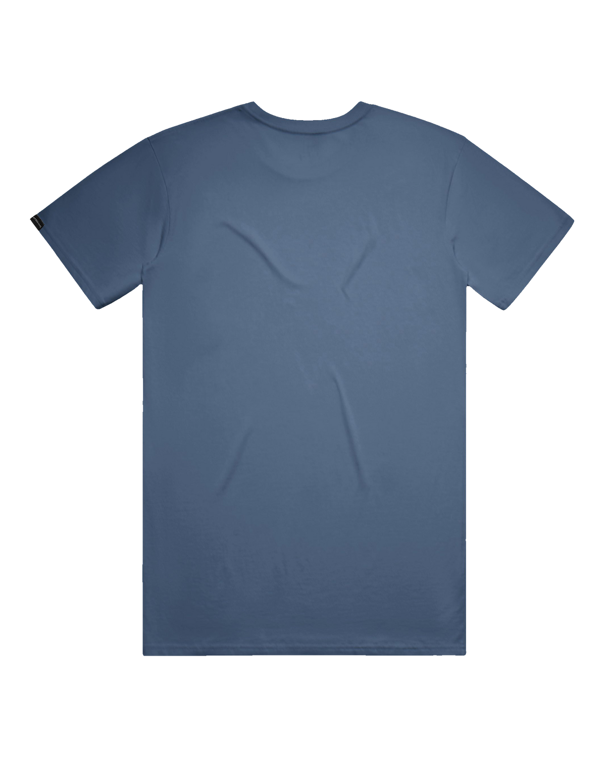 Starry Bear Tee (transparent)