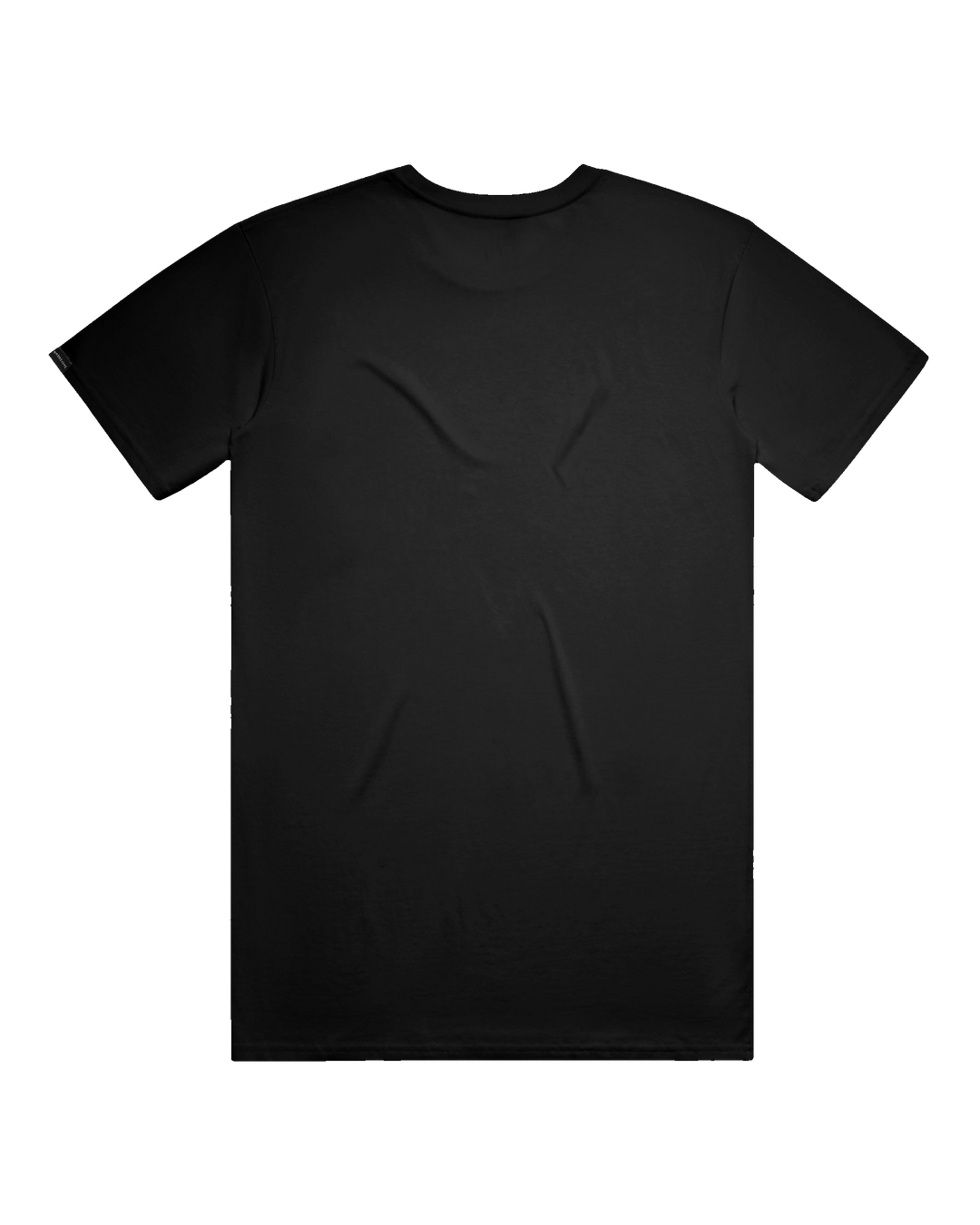 Starry Bear Tee (transparent)