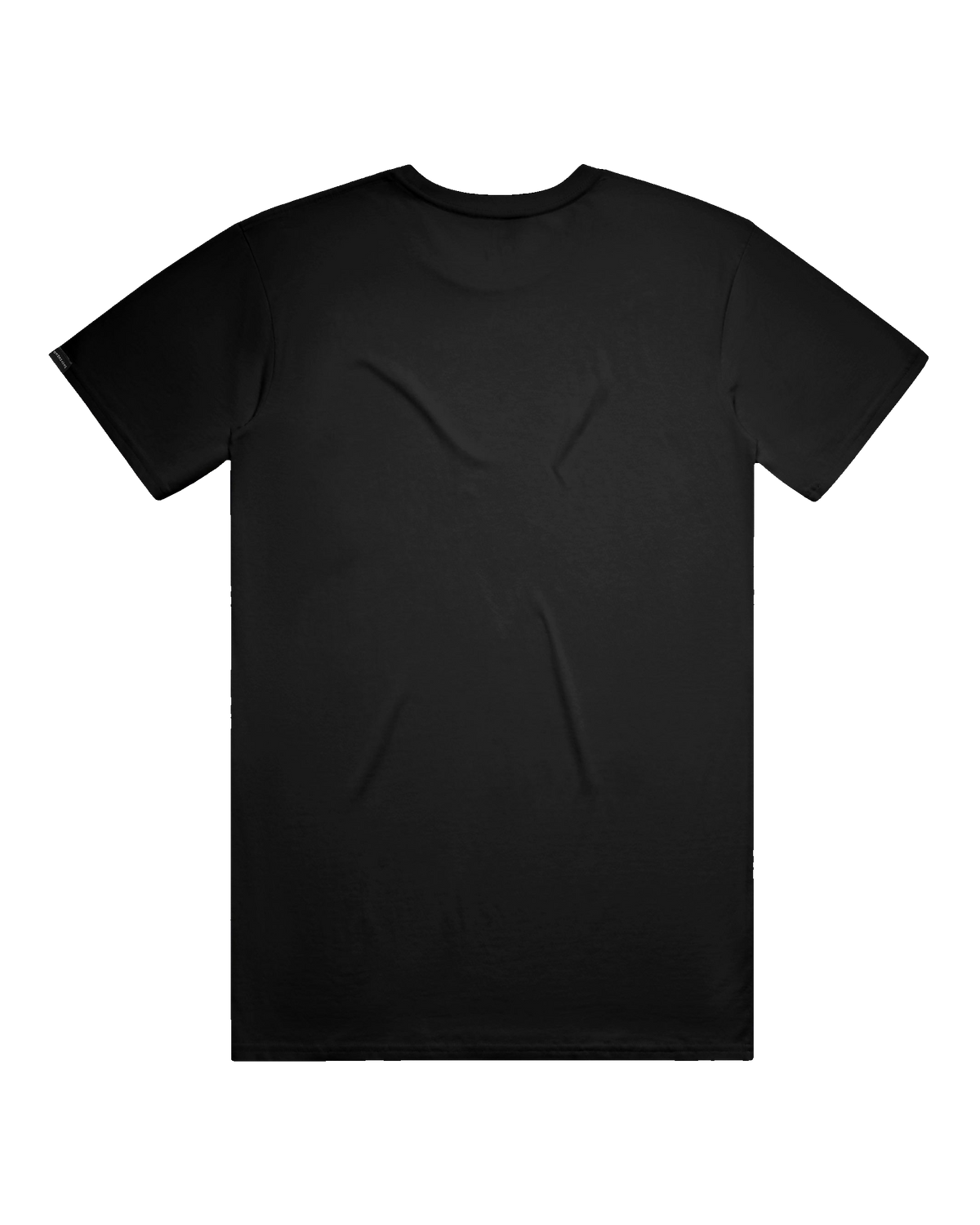 Starry Bear Tee (transparent)