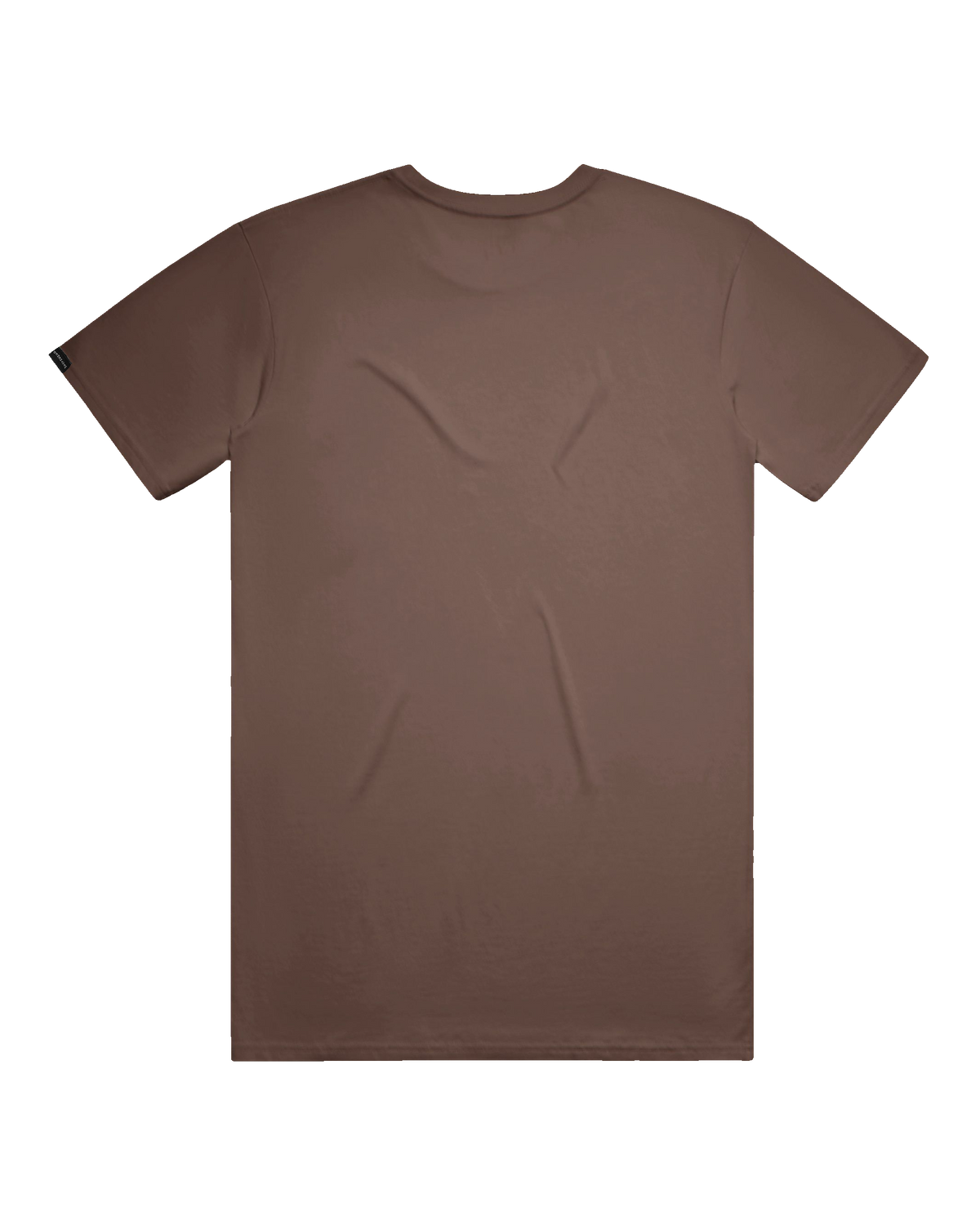Starry Bear Tee (transparent)