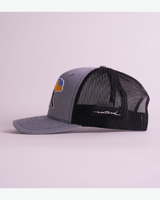 At The Mountains Trucker