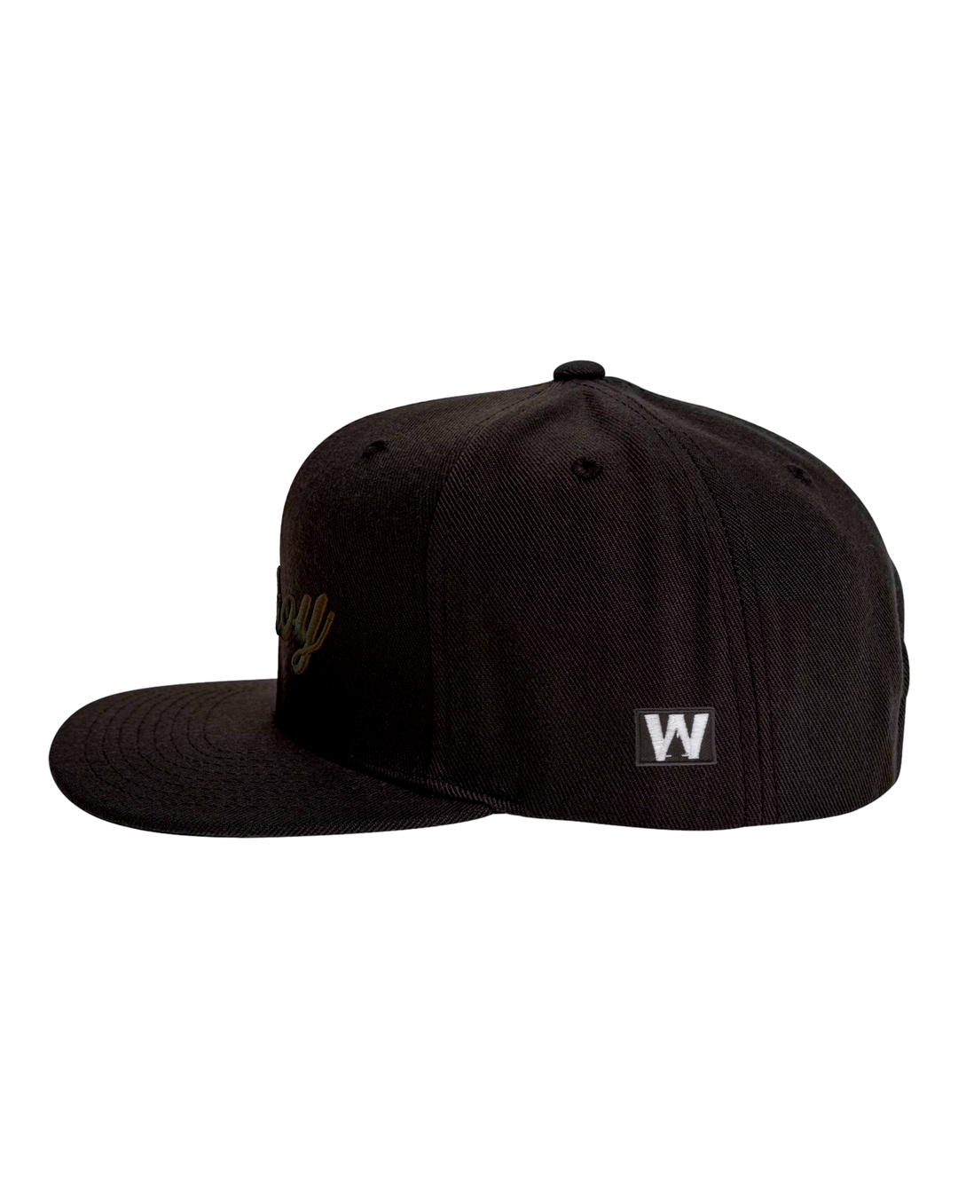 Ahoy Black 3D Flat Bill, transparent background