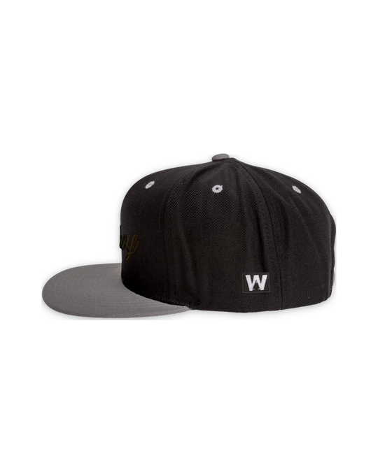 ahoy-black-3d-flat-bill — float
