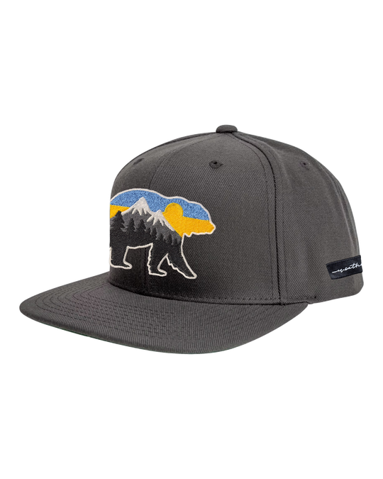 At The Mountains Flat Bill Grey, transparent background