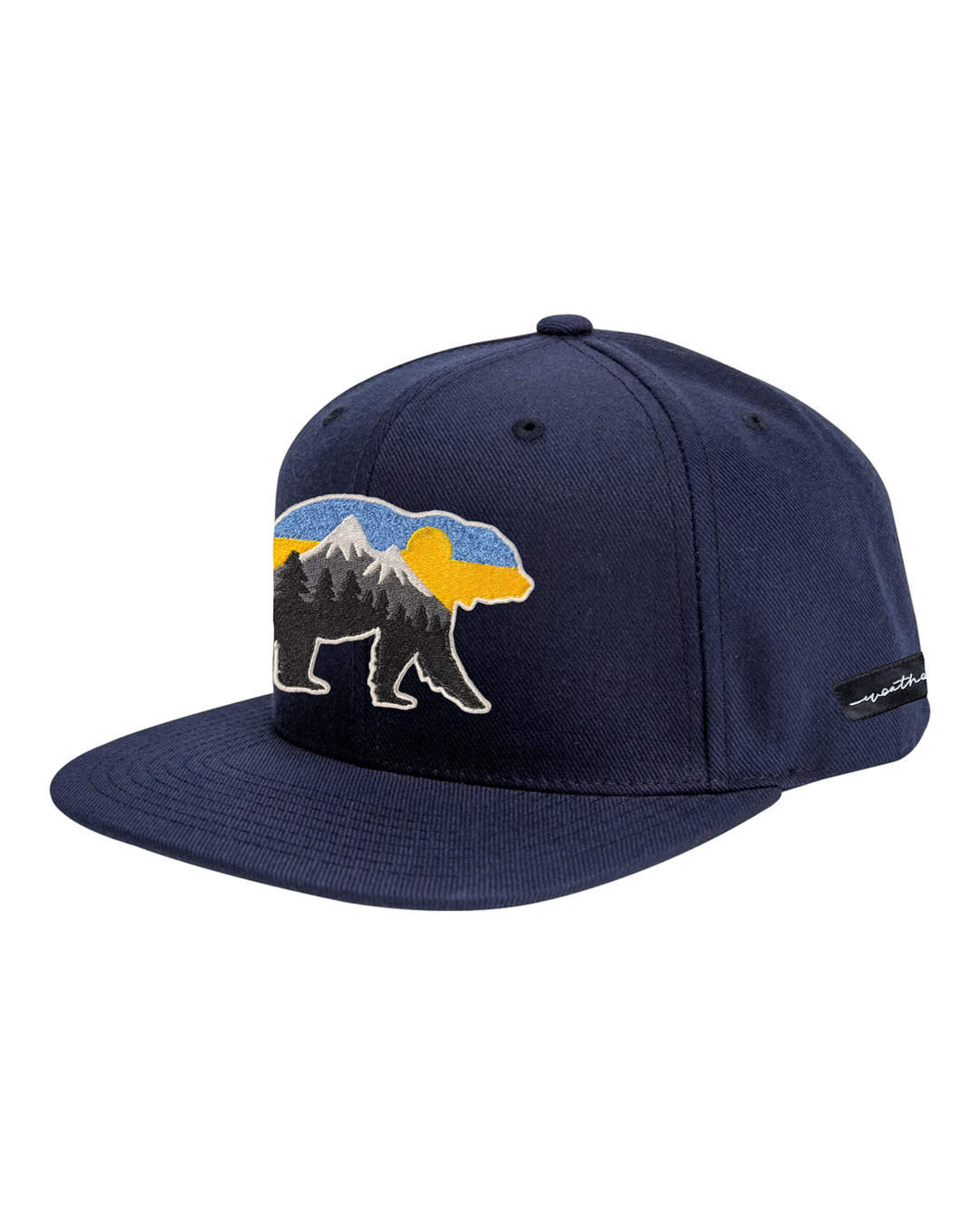 At The Mountains Flat Bill Grey, transparent background
