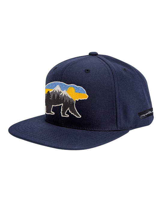 At The Mountains Flat Bill Grey, transparent background