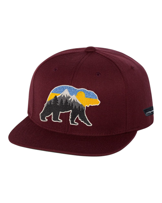 At The Mountains Flat Bill Grey, transparent background