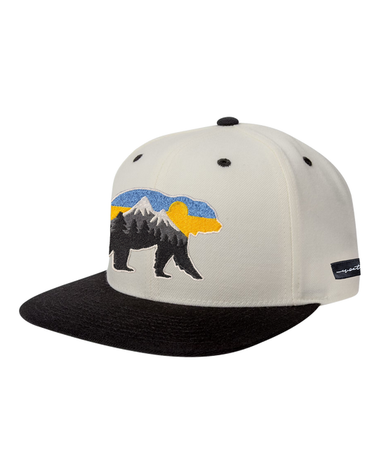 At The Mountains Flat Bill Grey, transparent background