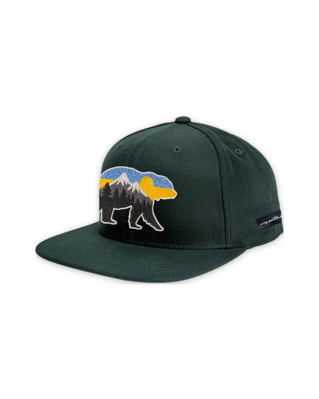 at-the-mountains-flat-bill-grey — float