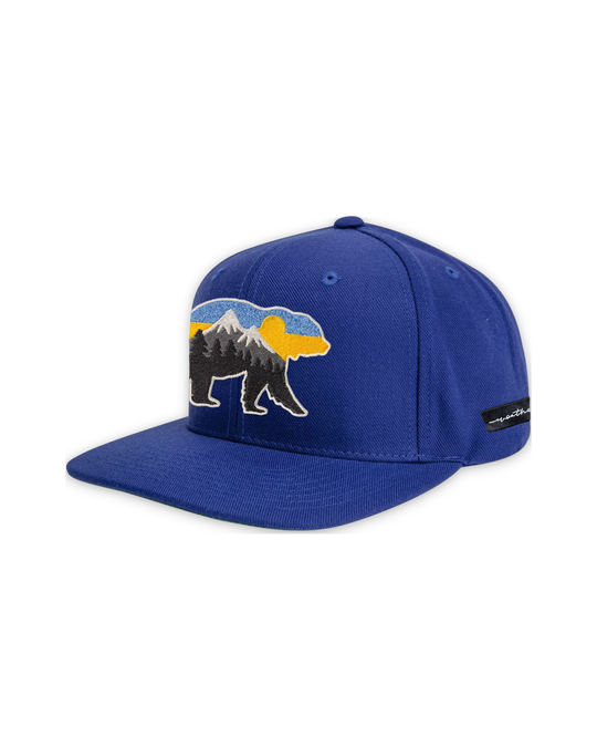at-the-mountains-flat-bill-grey — float