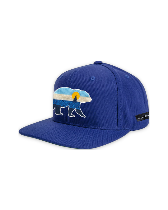 at-the-sea-flat-bill-grey — float