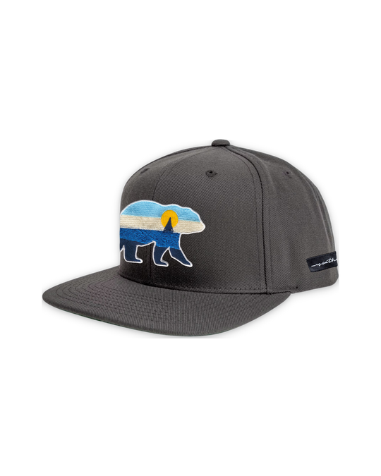 at-the-sea-flat-bill-grey — float