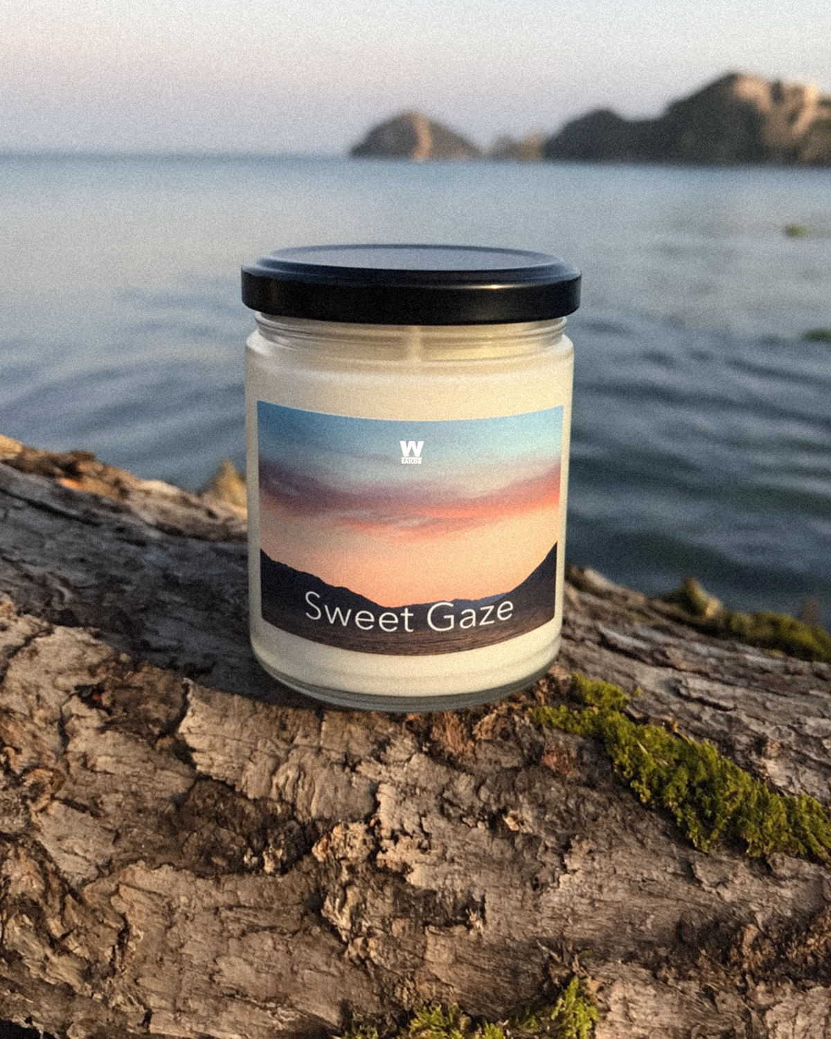 Sweet Gaze Soy Candle — Weathered Sailor