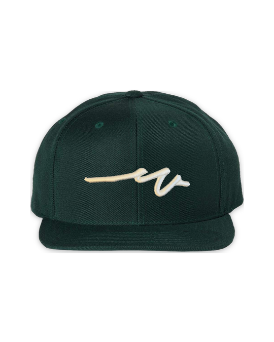 premium-snapback-3 — float