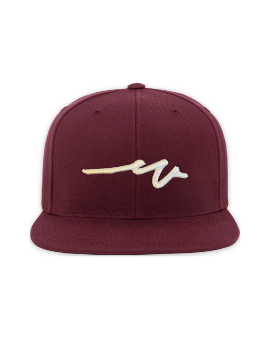 premium-snapback-3 — float