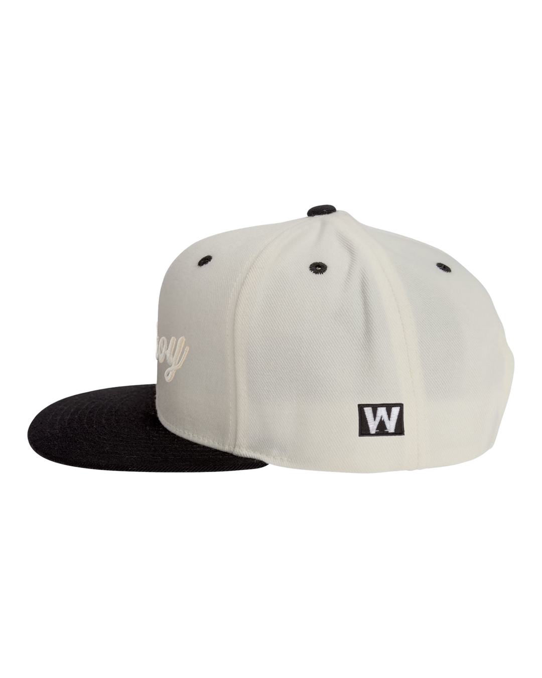 Premium Snapback 4, transparent background