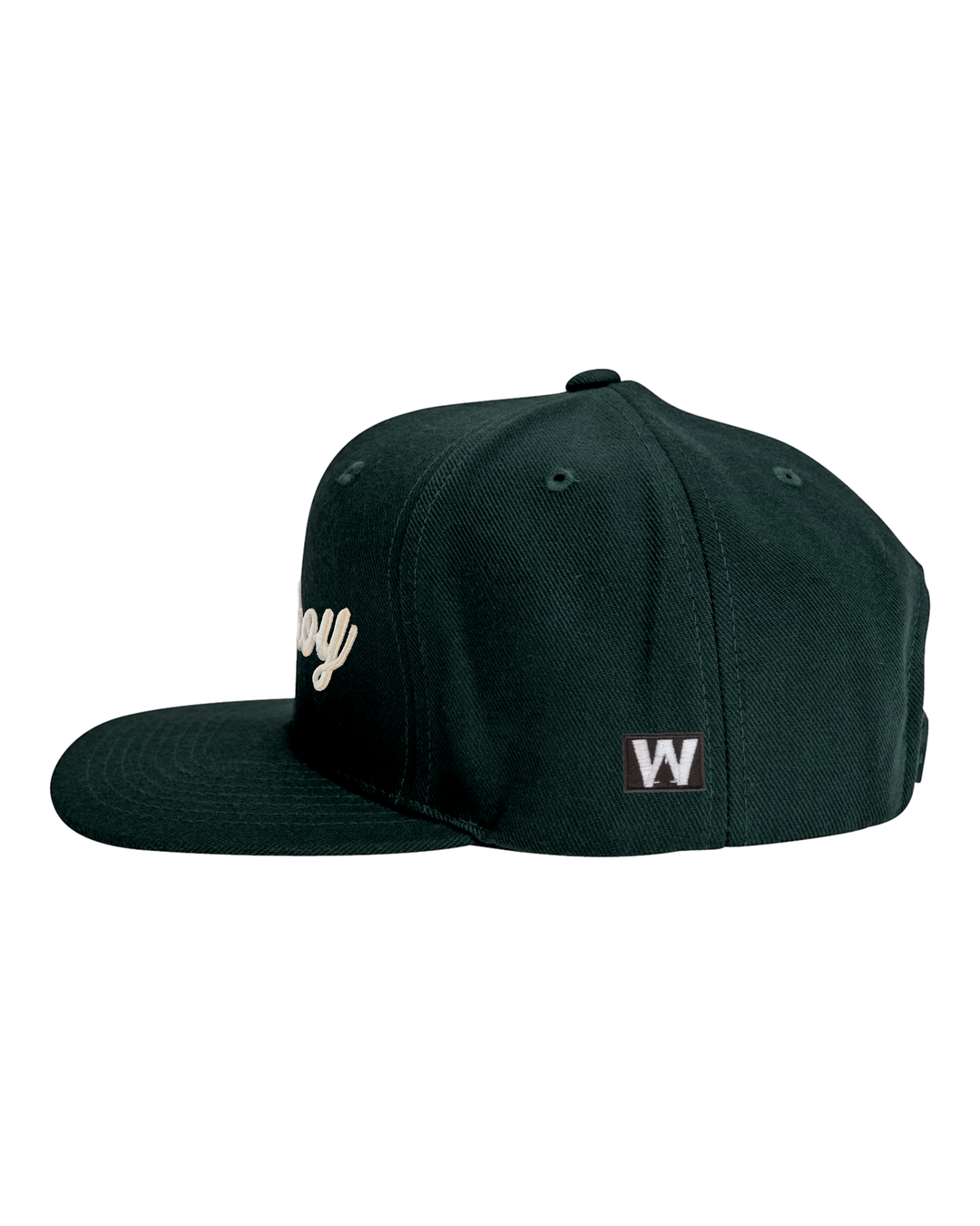 Premium Snapback 4, transparent background