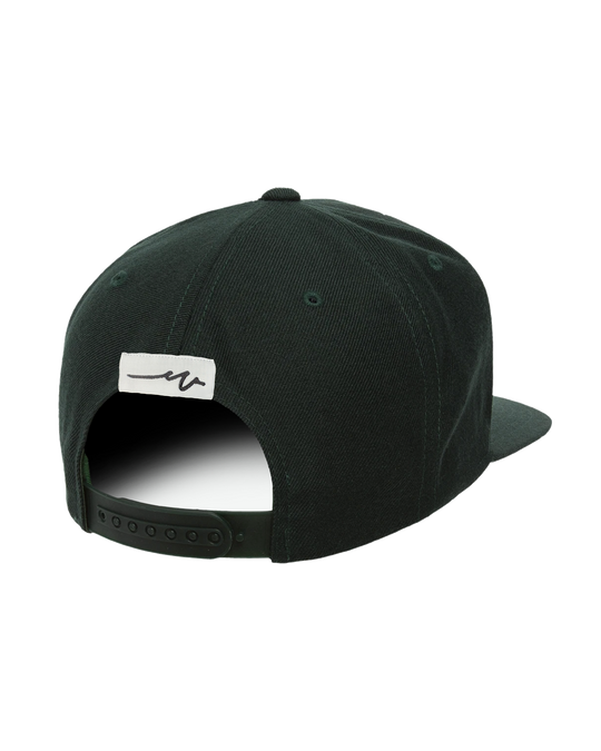Premium Snapback 4, transparent background