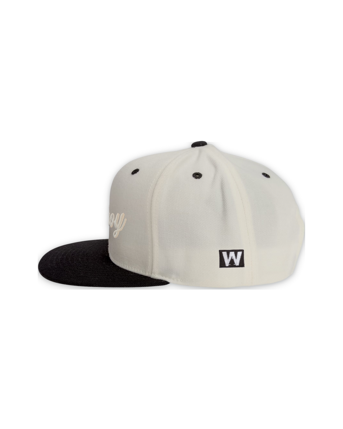 premium-snapback-4 — float