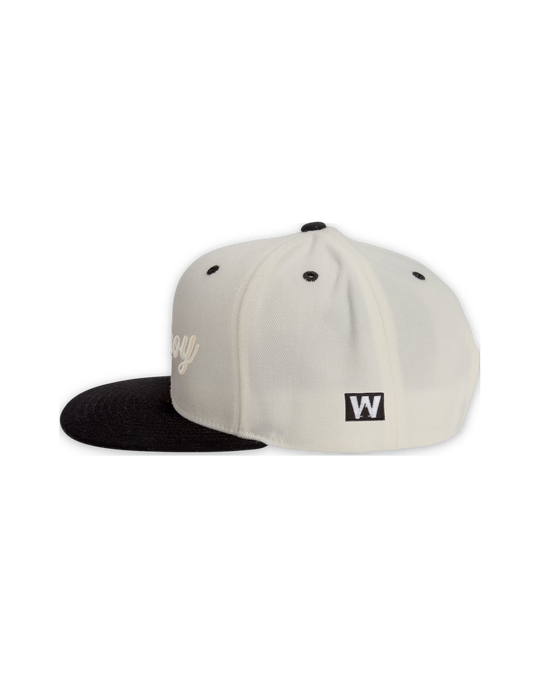 premium-snapback-4 — float