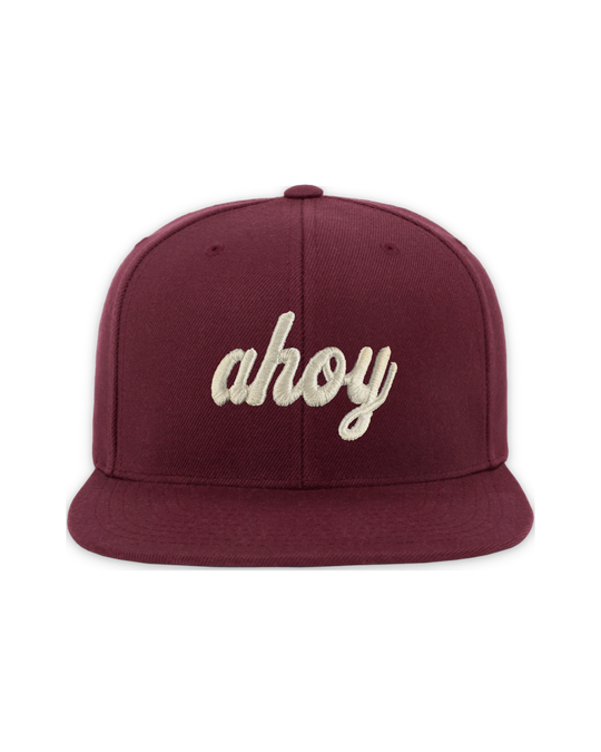 premium-snapback-4 — float