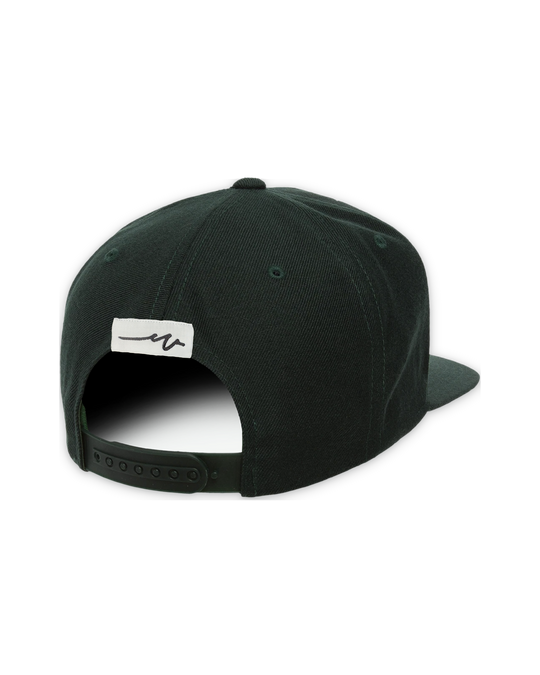 premium-snapback-4 — float