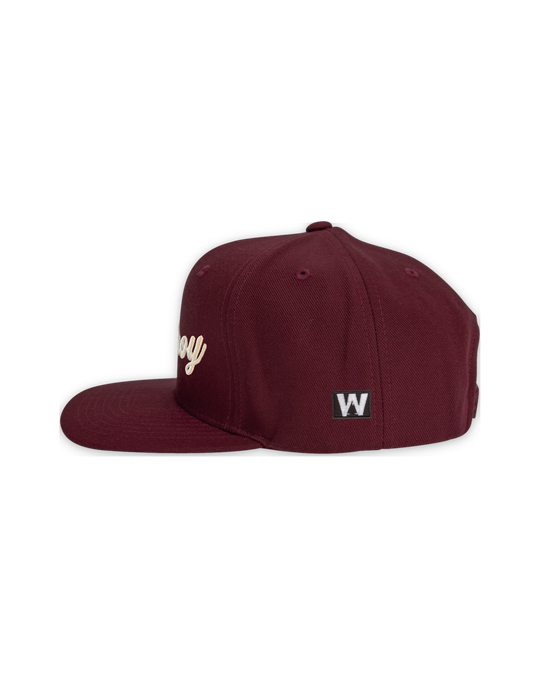 premium-snapback-4 — float