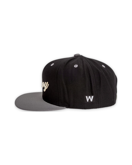 premium-snapback-4 — float