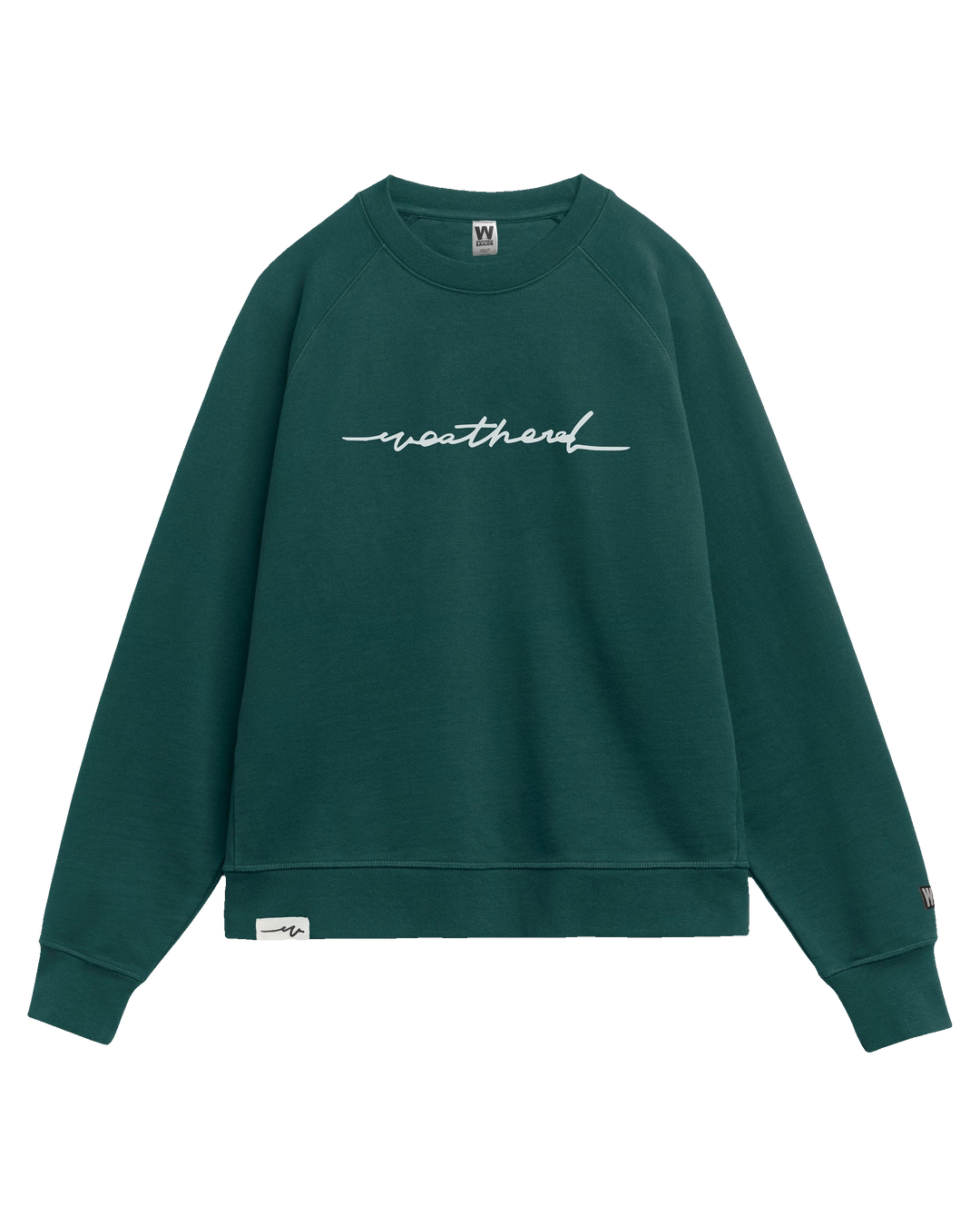 Pine — transparent cutout
