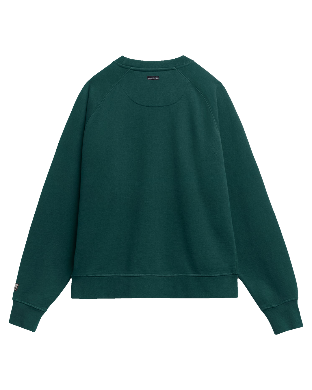 Pine — transparent cutout