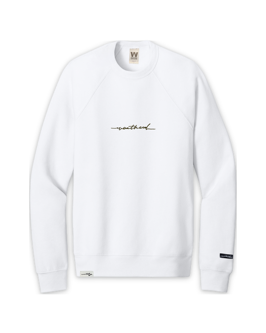 sketchy-sponge-raglan-crew — float