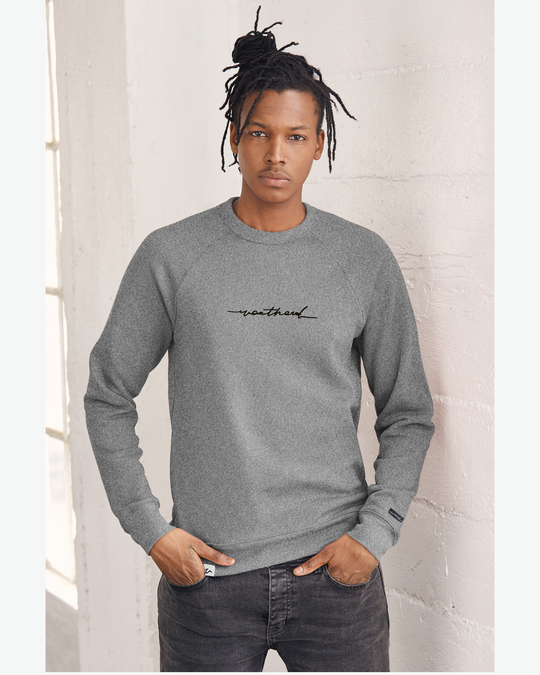 Sketchy Sponge Raglan Crew