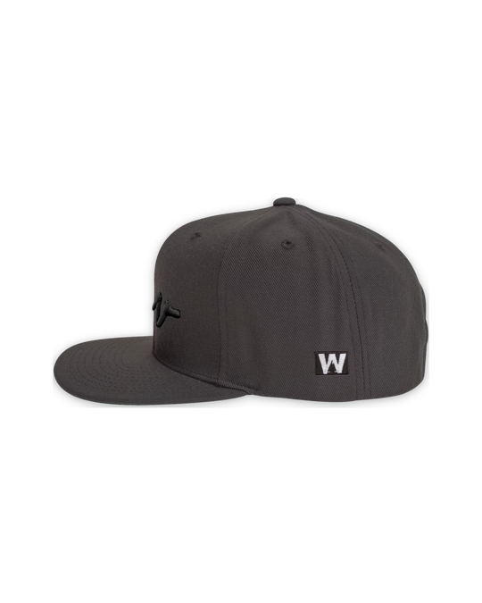 sketchy-w-black-3d-flat-bill — float