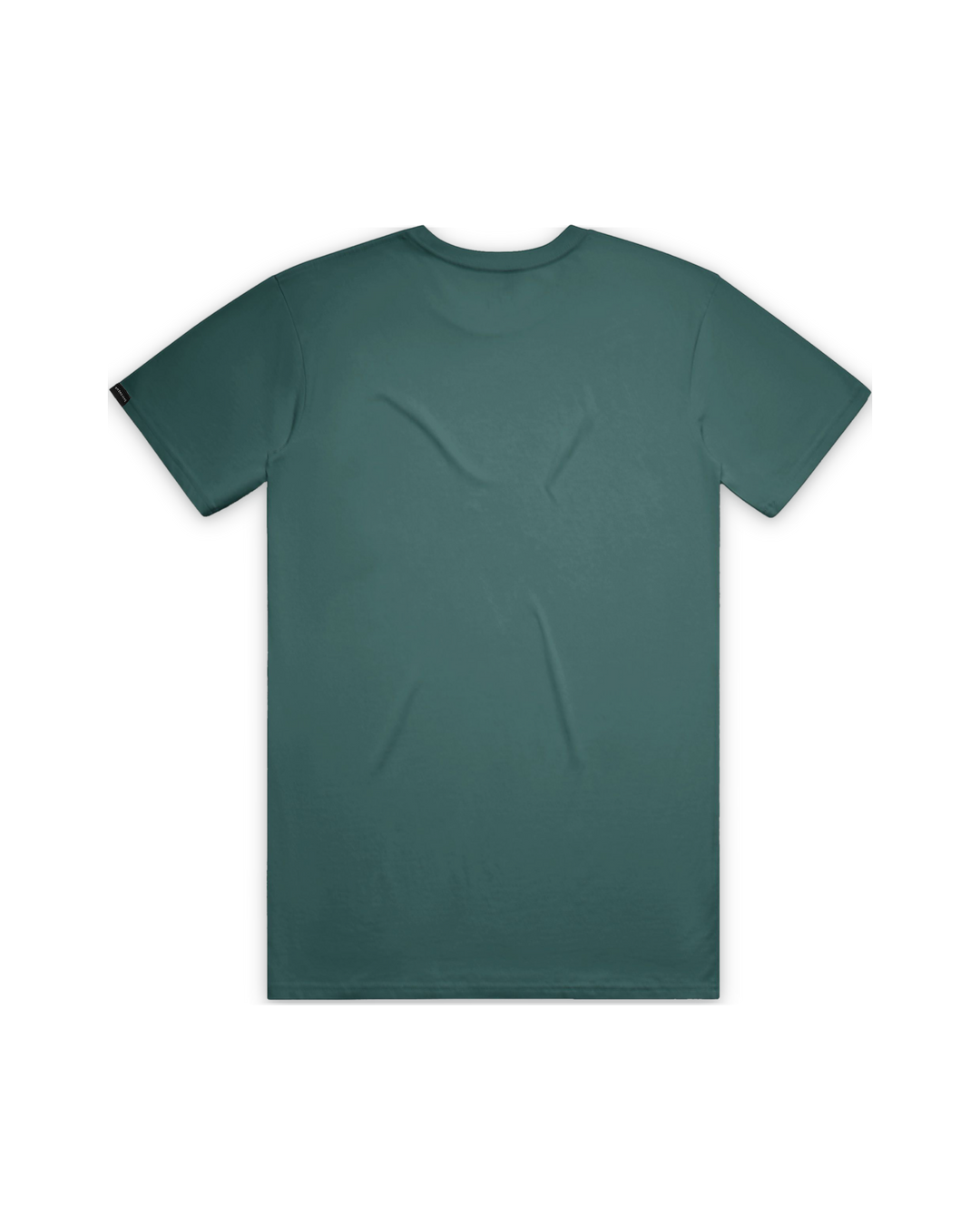 starry-bear-tee — float