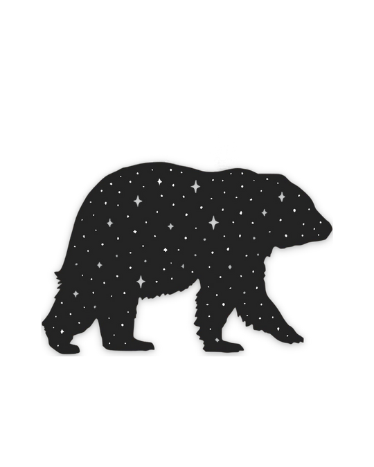 starry-bear-tee — float