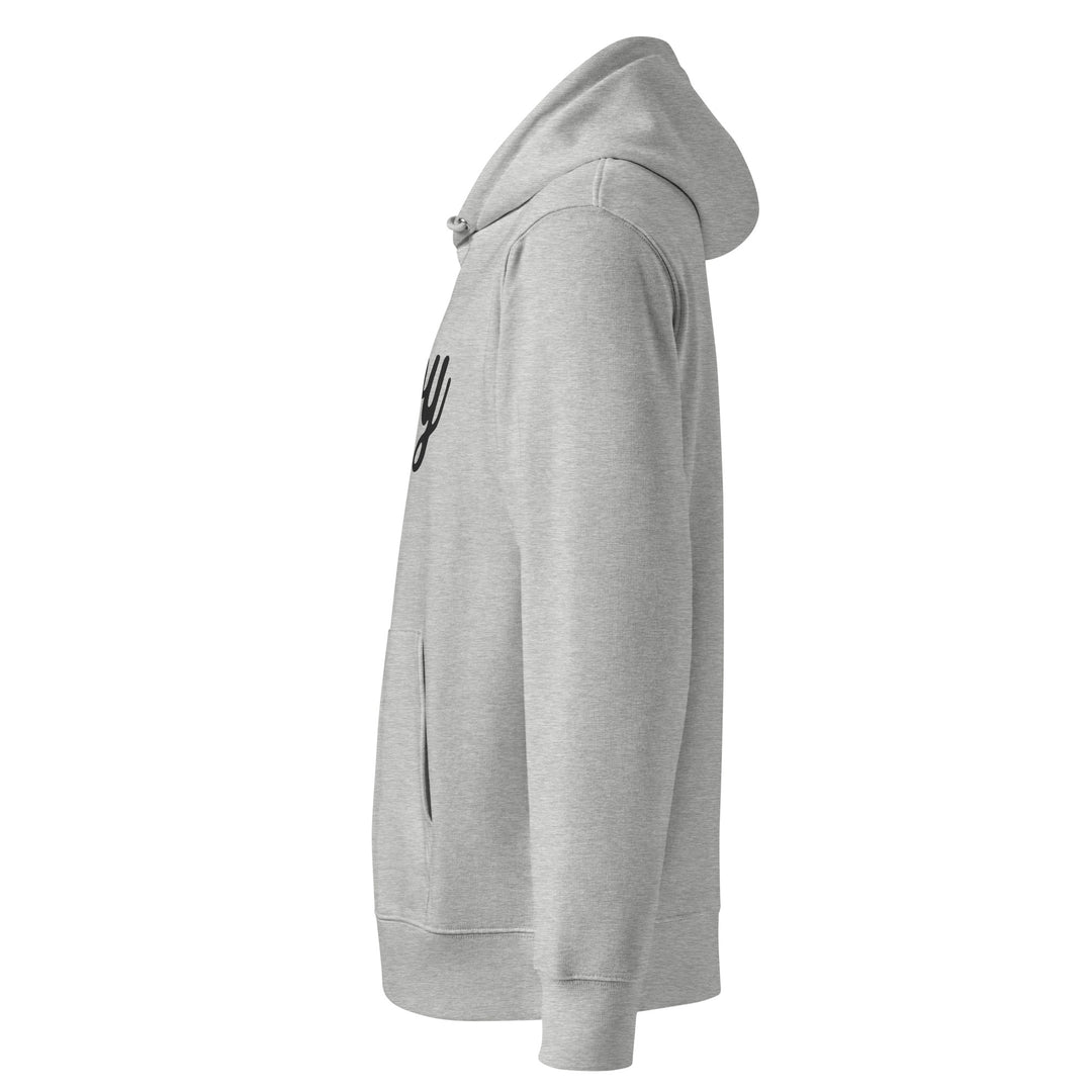 Silky Ahoy Hoodie in Heather Grey — left view