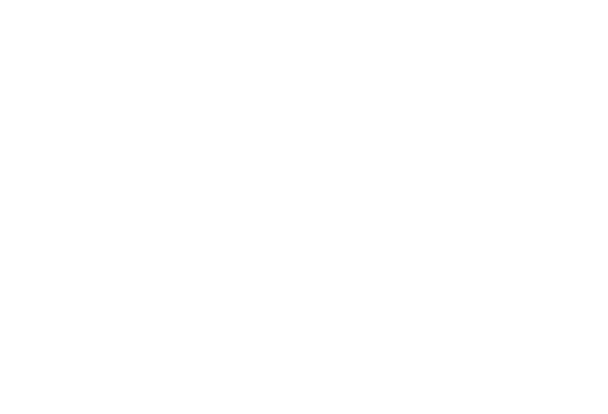 The Bear